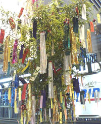 tanabata..jpg